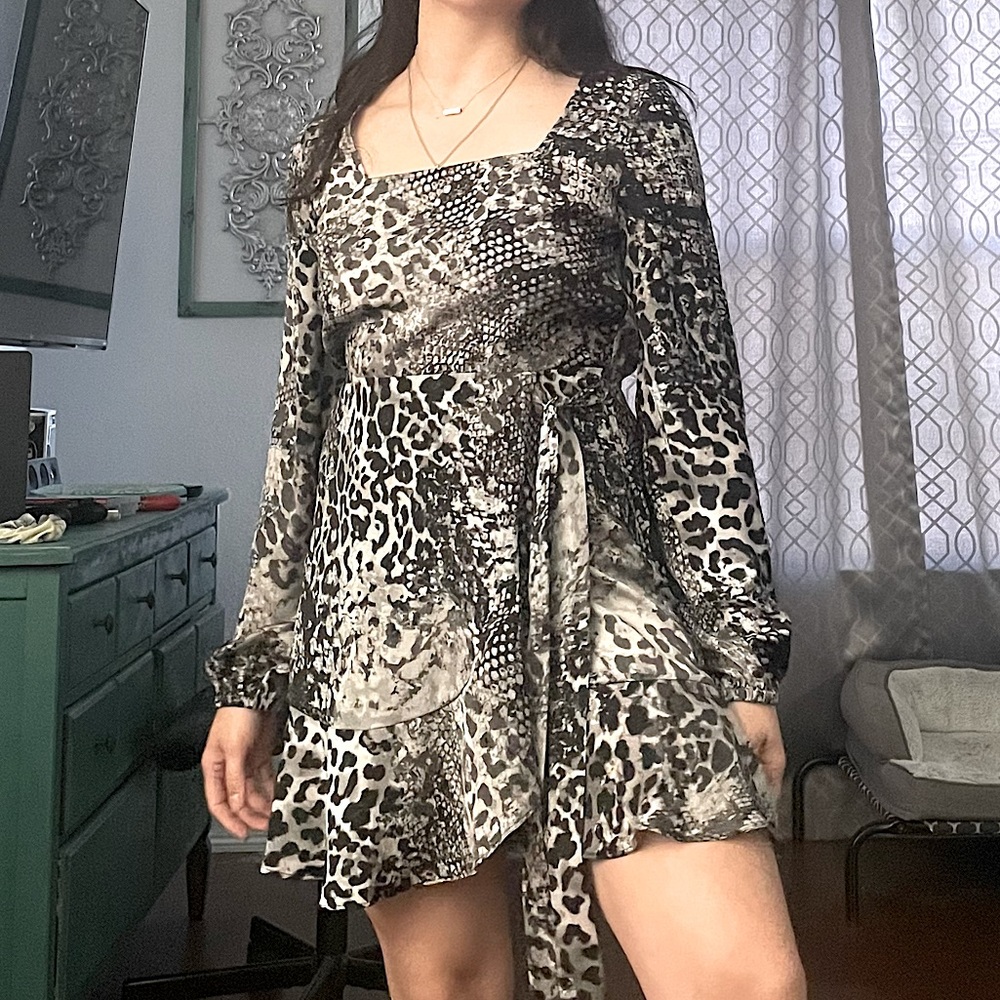 Express Animal Print Dress
